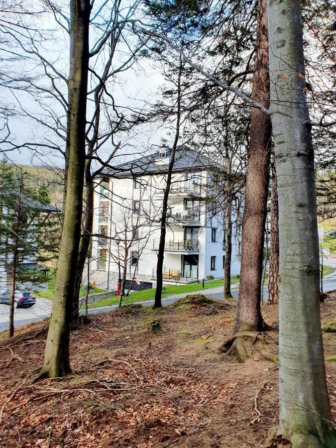 Apartament Wlochatka Z Sauna Finska Świeradów-Zdrój Exterior foto